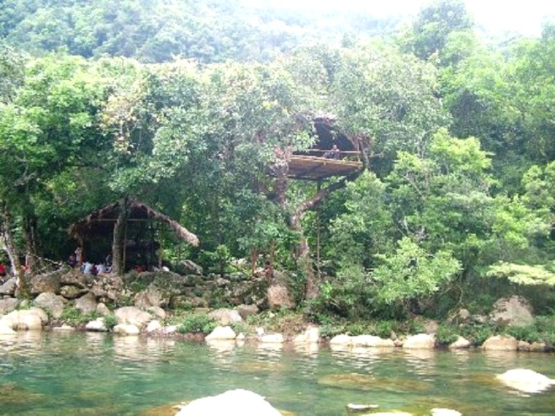 nhà hàng tổ chim