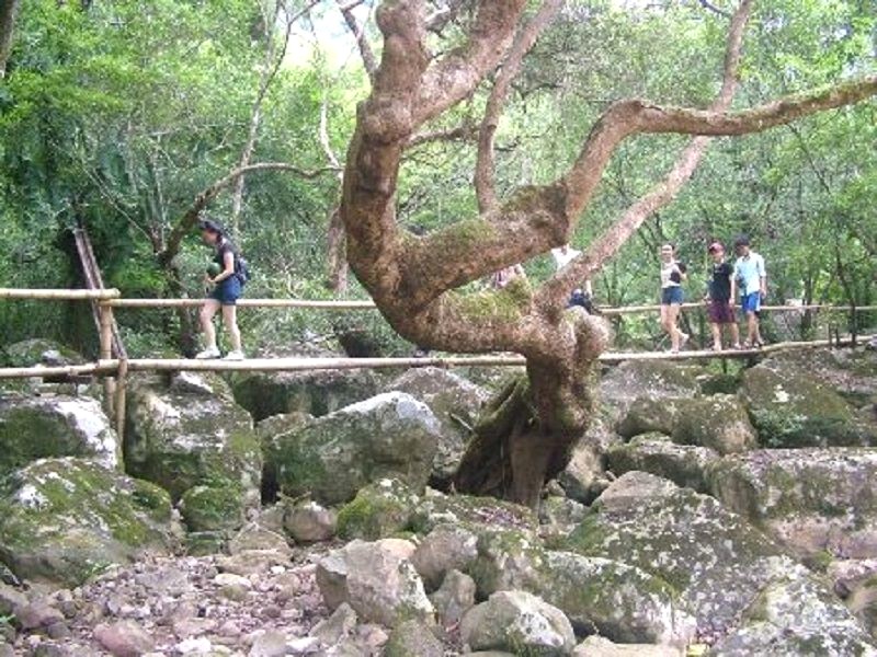 tận hưởng thiên nhiên