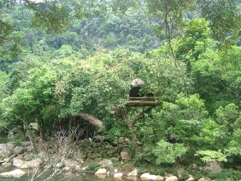 trải nghiệm nhà hàng tổ chim