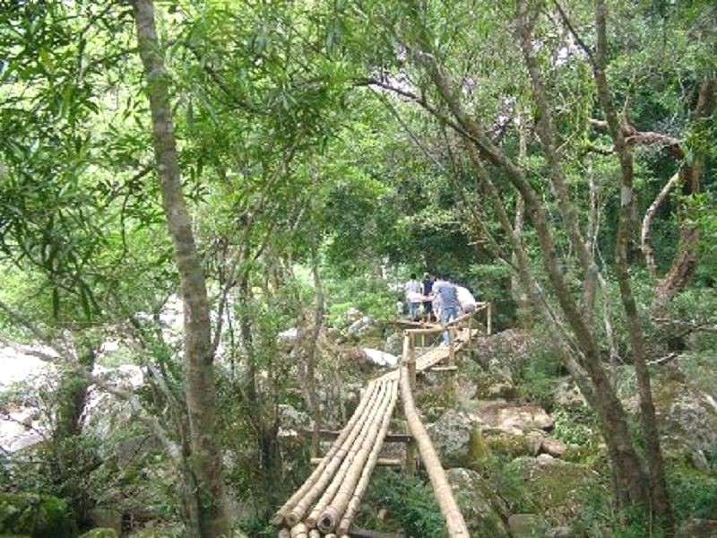 cây cầu mộc mạc