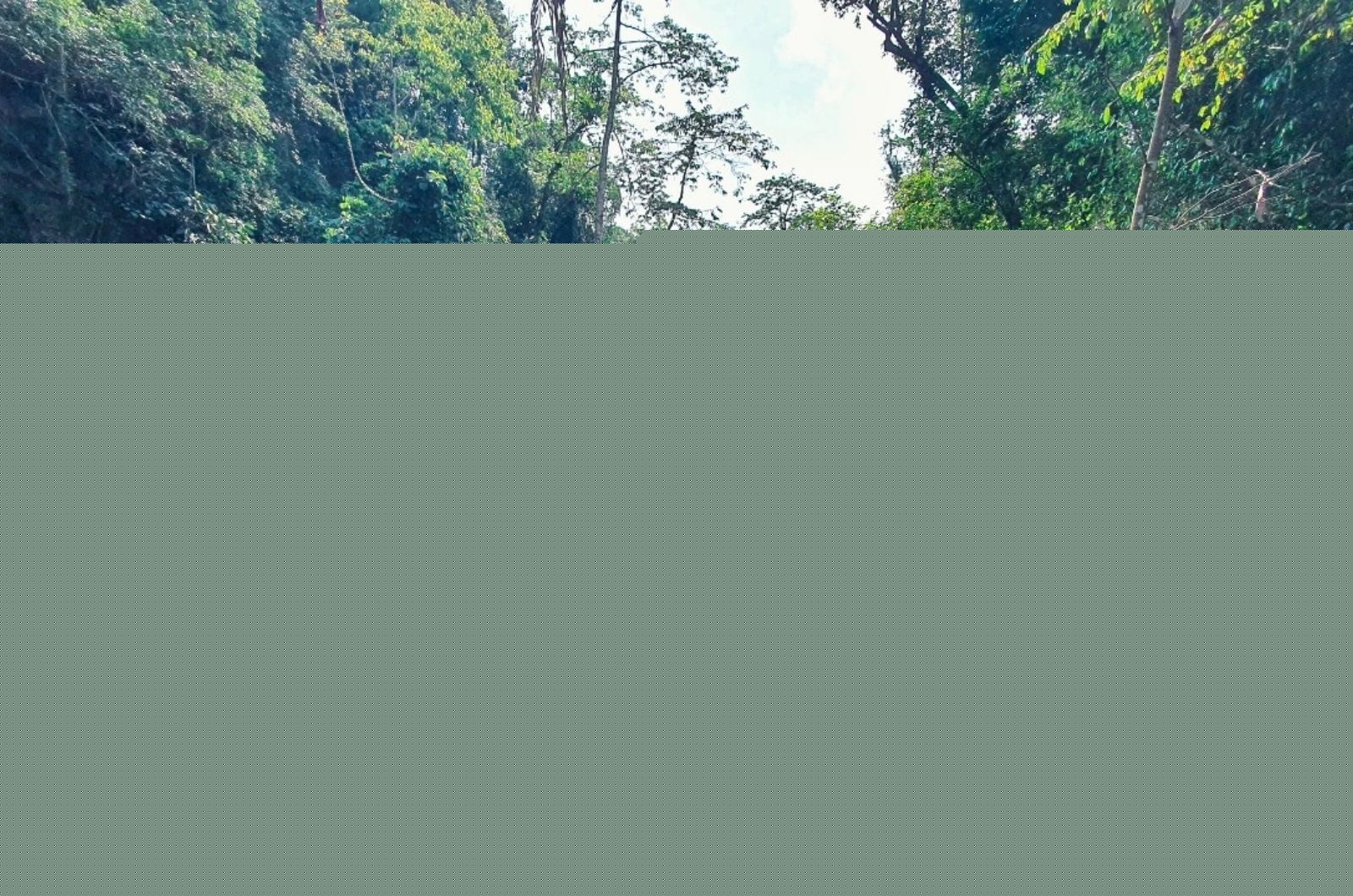 Khám phá vẻ đẹp hoang sơ của Suối Chà Cùng