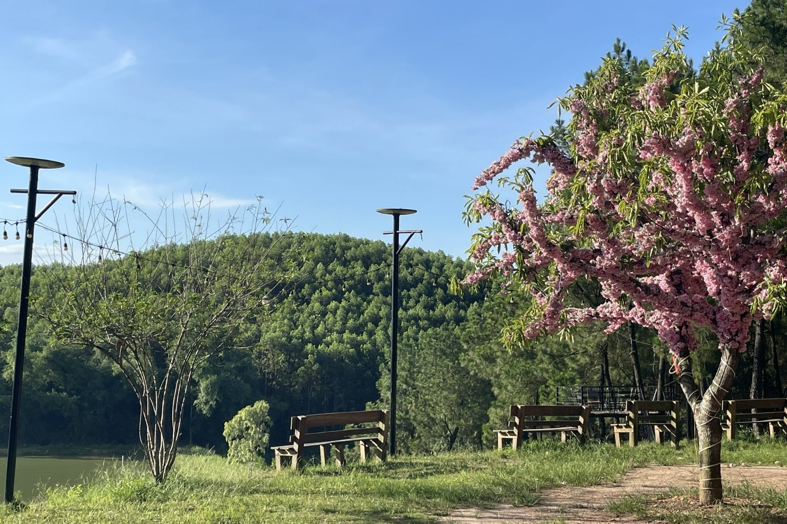 Đồi Mây Đắng - Địa điểm Camping lý tưởng tại Quảng Bình 8 Khong-gian-tho-mong-binh-yen-o-doi-may-dang