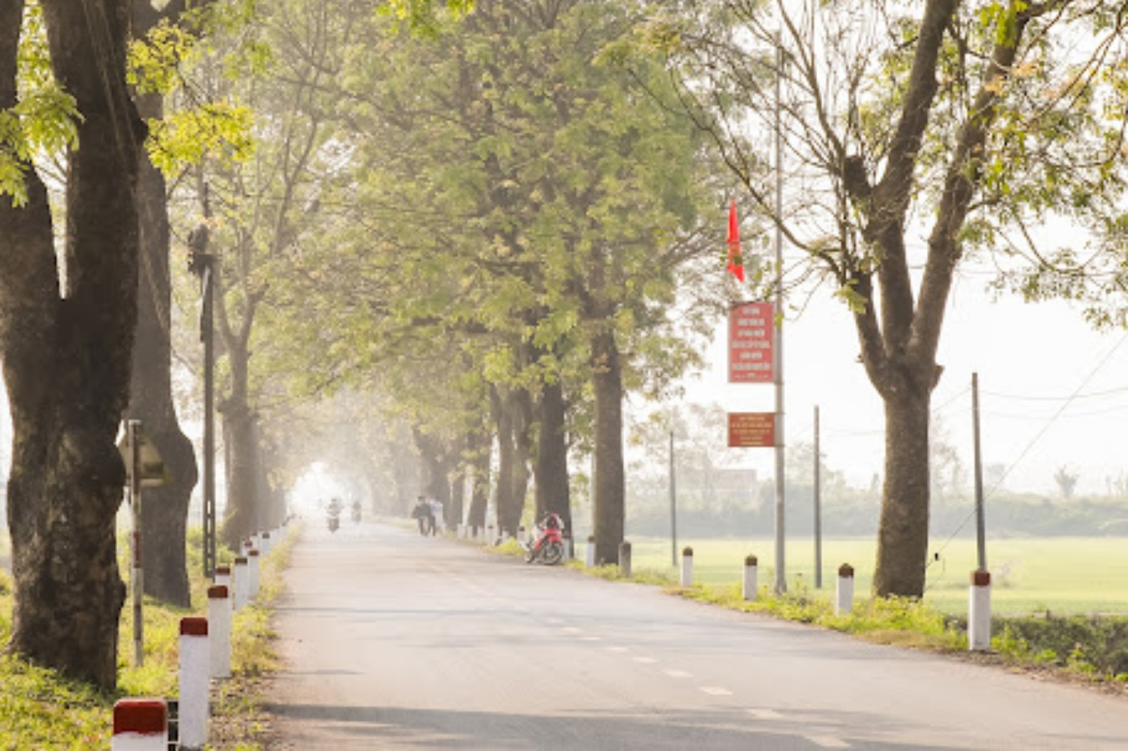 Một buổi sáng bình yên tại làng Đại An Khê