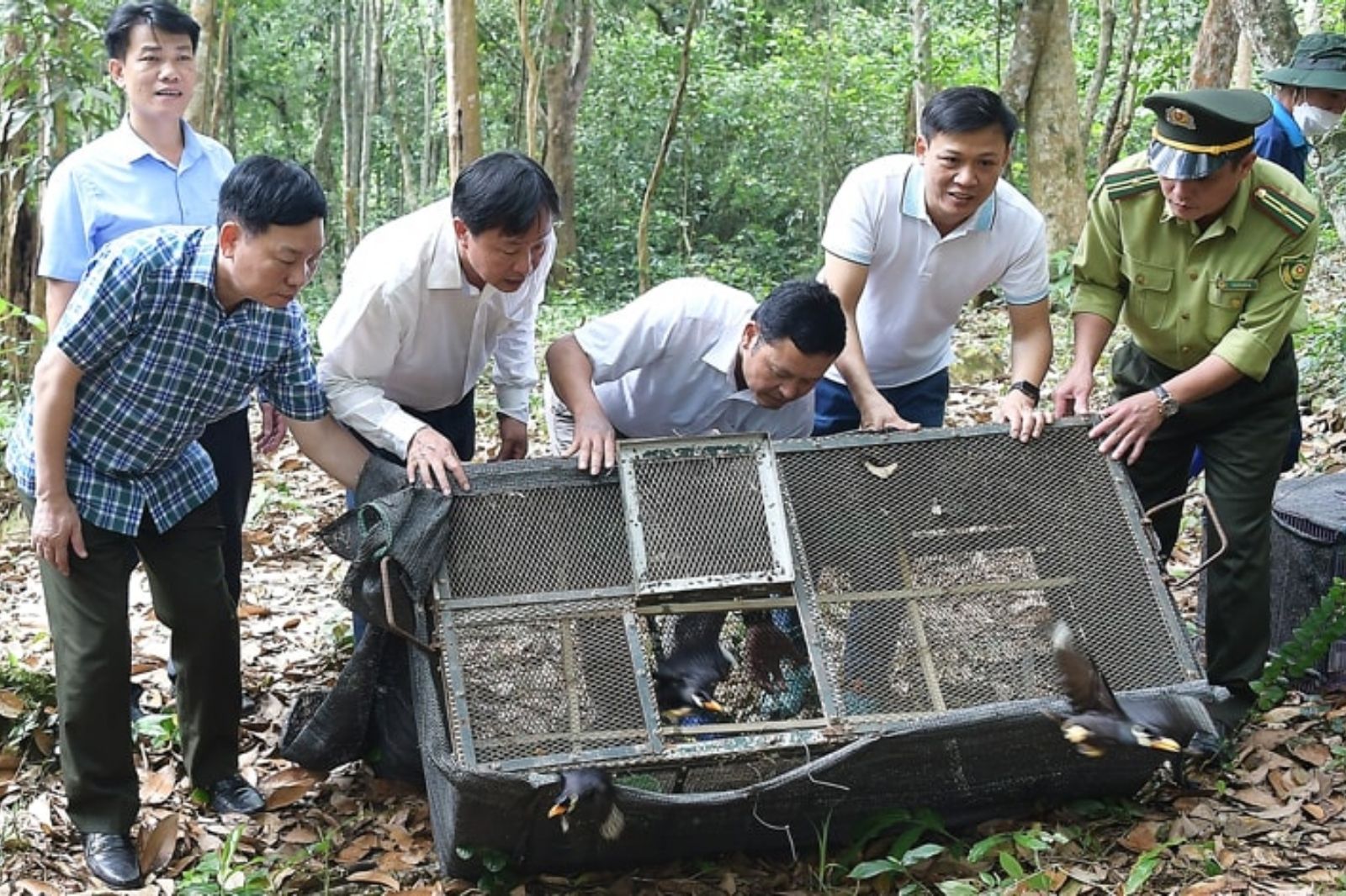 Hoạt động cứu hộ bảo tồn động thực vật hoang dã