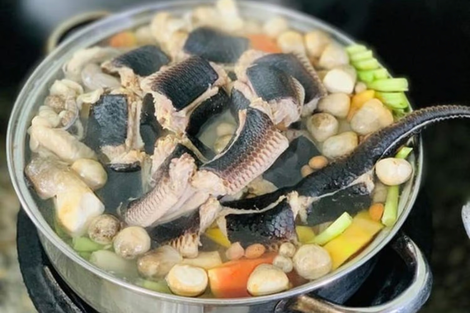 Những món hải sản Quảng Bình nhất định phải thử khi du lịch 13 Món lẩu thơm ngon từ đẻn biển